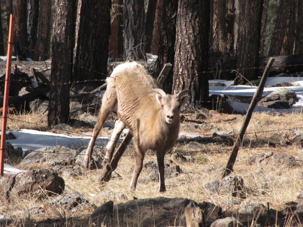 IMG_0464