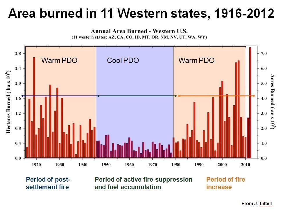 Big burn. Wildfires statistics. Wildfire statistics Global. Early ignition.