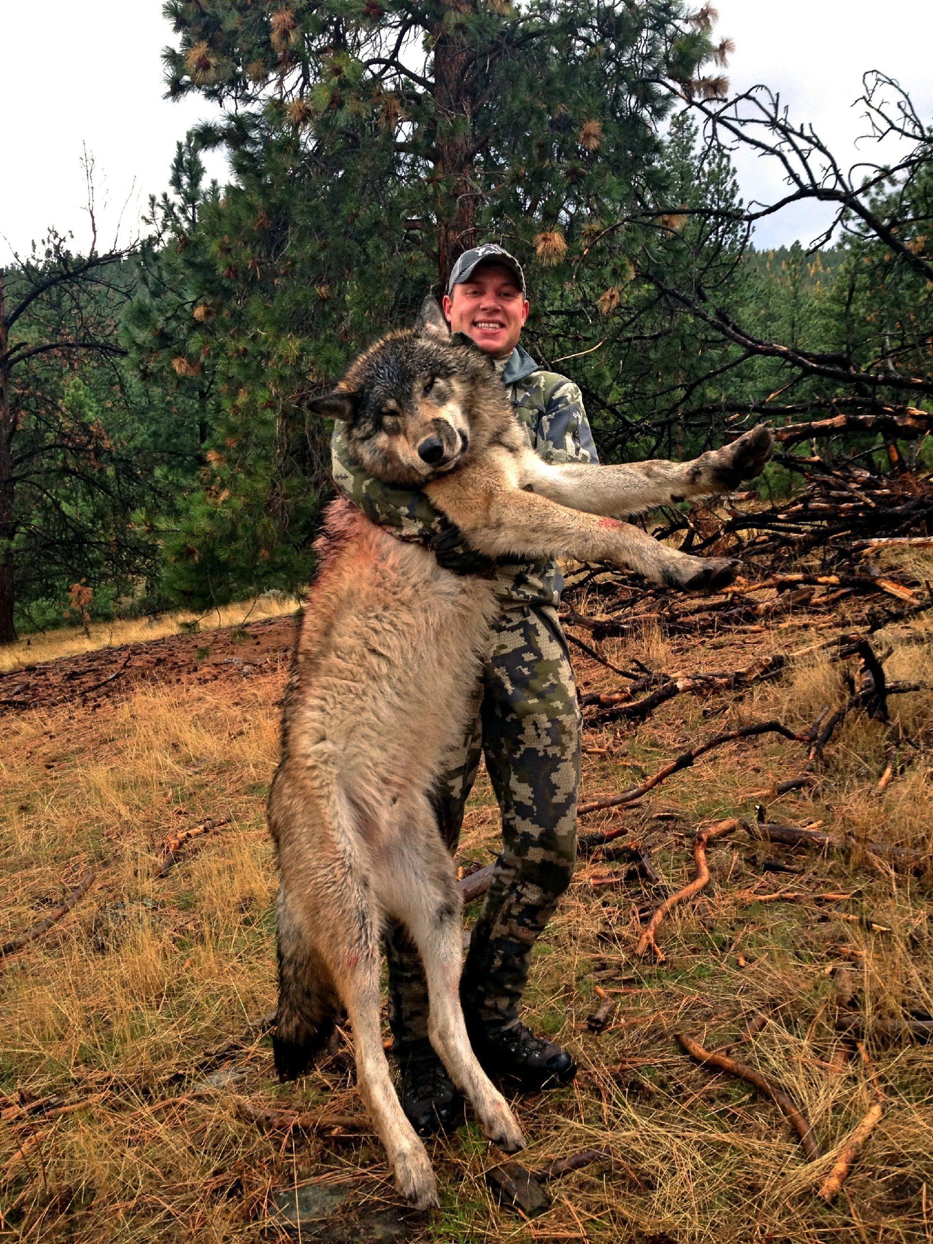 Montana Fish and Game Commission Supports Wolf Slaughter | The Wildlife